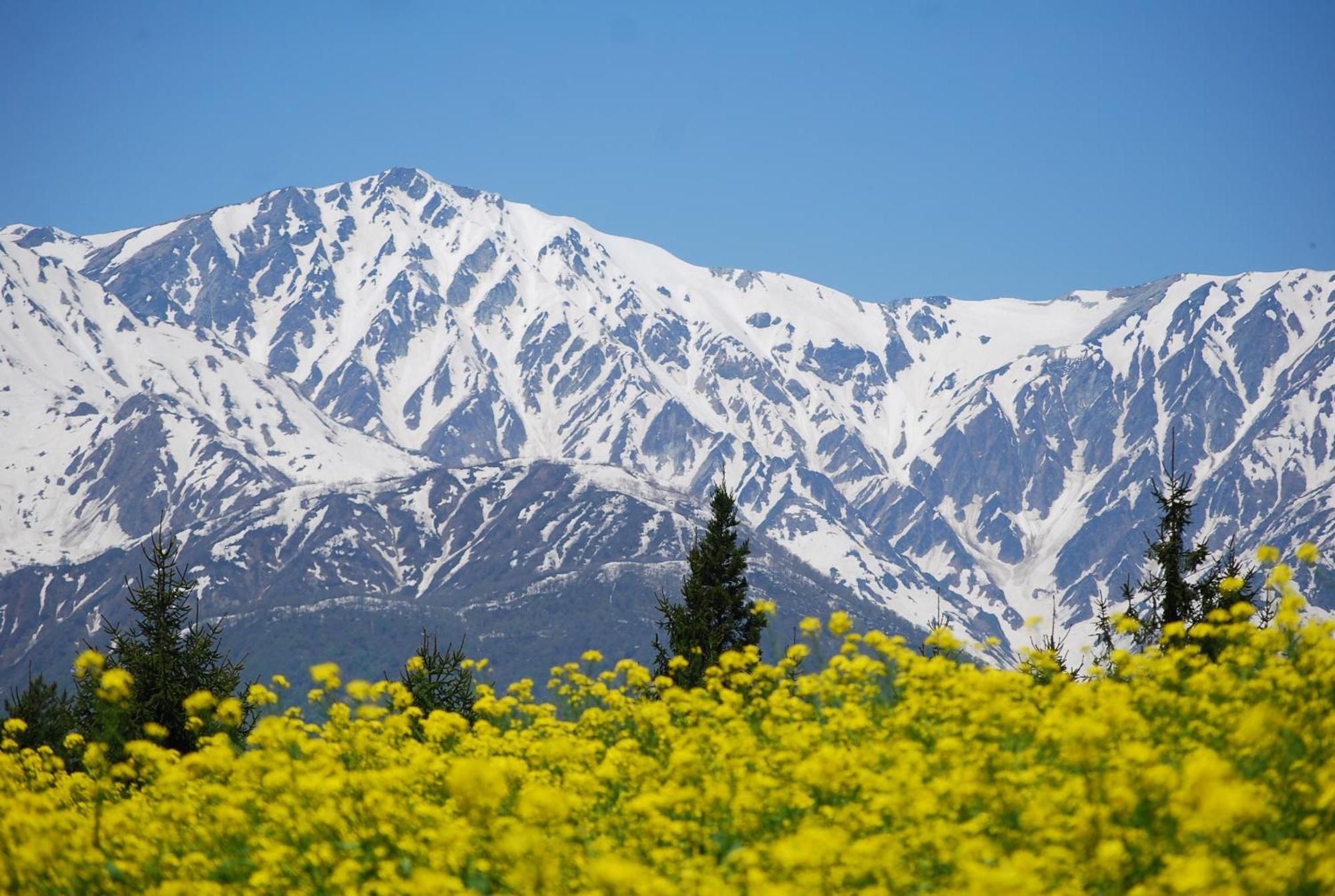 Hakuba Highland Hotel Bagian luar foto